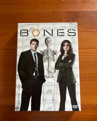 COFANETTO DVD "BONES" STAGIONE 1