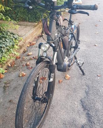 ebike 