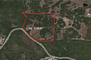 Terreno sito in Palau (SS) - Loc. Capannaccia