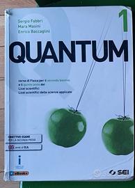 Quantum 1