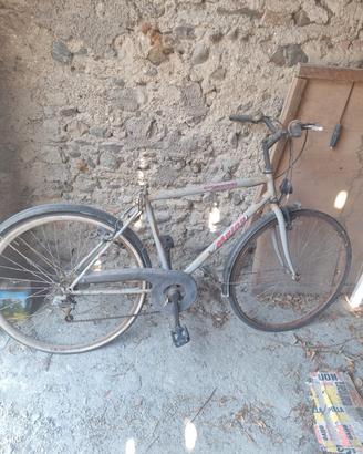 Tandem e bici