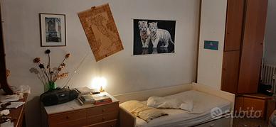 Ampia stanza SINGOLA libera subito fino a ottobre