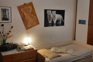 Ampia stanza SINGOLA libera subito fino a ottobre