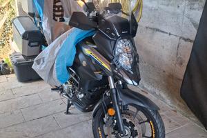 suzuky vstorm 650 xt