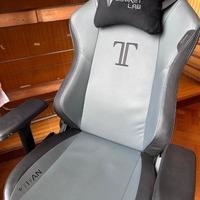 Sedia da Gaming Secretlab Titan 2020 Ash (Regular)