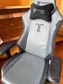 Sedia da Gaming Secretlab Titan 2020 Ash (Regular)