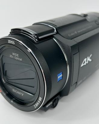 Sony FDR-AX53 con custodia