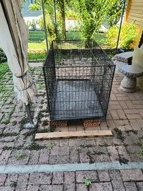 kennel x cani 