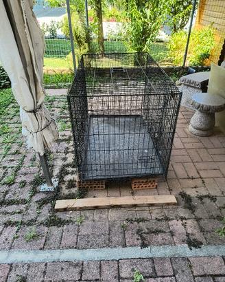 kennel x cani 
