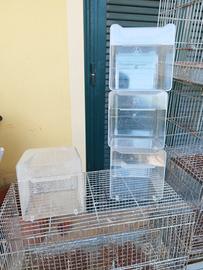 Gabbiette bagno canarini 