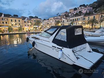 SEA RAY SUNDANCER 290 + 2 X 225 HP MERCRUISER