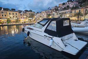 SEA RAY SUNDANCER 290 + 2 X 225 HP MERCRUISER