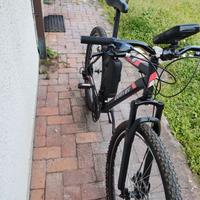 Montainbike cerchi da 29