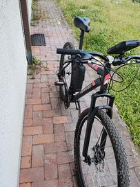 Montainbike cerchi da 29