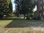 Immagine 11