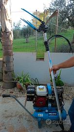 abbacchiatore per raccogliere olive 