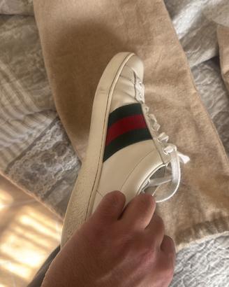 Sneakers Gucci ace