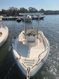 Barca Ranieri linea azzurra 5.50 MT motore 40 hp