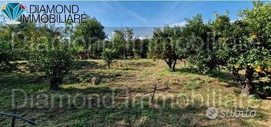 TERRENO AGRICOLO 3.500 mq A GIARRE