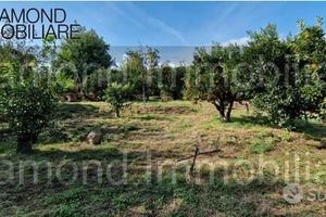 TERRENO AGRICOLO 3.500 mq A GIARRE