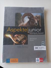Aspekte Junior Übungsbuch B1 plus