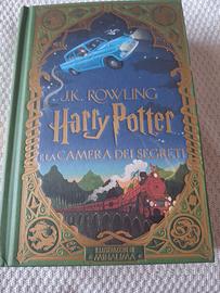Libro illustrato Harry Potter