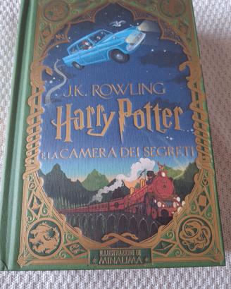 Libro illustrato Harry Potter