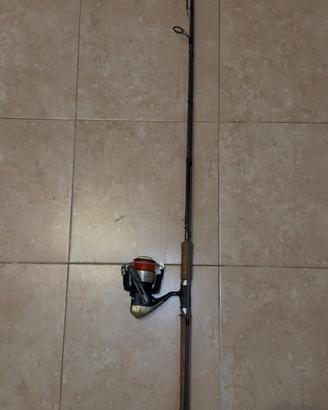 Canna da pesca Shimano Beastmaster