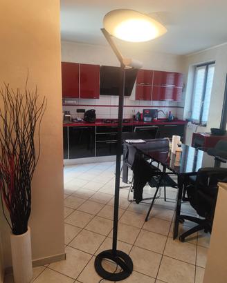 lampada da terra Artemide 