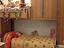 Immagine 7