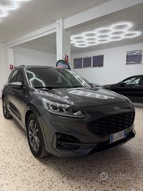 Ford Kuga 1.5 EcoBlue 120 CV 2WD ST-Line