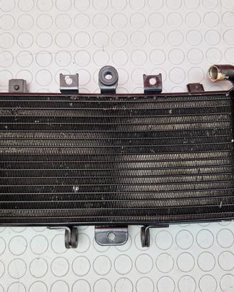 RADIATORE ACQUA YAMAHA FAZER 600 2001 2002 FZS 200