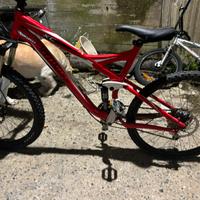 Bicicletta da down, Neil