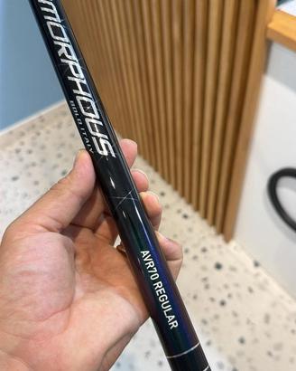 Daiwa Amorphus  7 mt AVR70 REGULAR BI