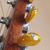 Chitarra acustica amplificata Crafter