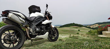 Speedtriple 1050 2011