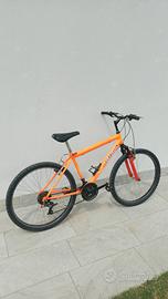 bicicletta