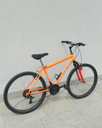 bicicletta
