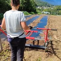 Stenditelo pacciamatrice