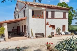 Estate nelle Marche au casale tutto per voi