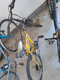 Bicicletta bambino 20 pollici 5 marce