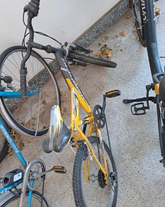 Bicicletta bambino 20 pollici 5 marce