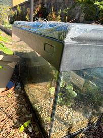 Acquario 100 l funzionante
