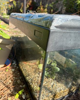 Acquario 100 l funzionante