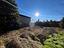 Immagine 29