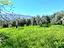 Immagine 11