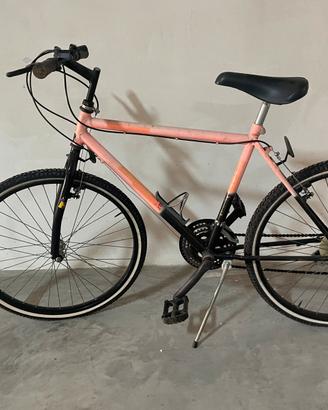 Mountain Bike da sistemare