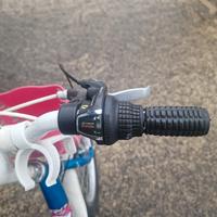 bicicletta bambina 20 pollici 