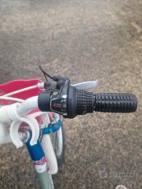 bicicletta bambina 20 pollici 