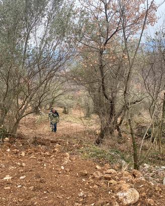 Terreno di 75000mq